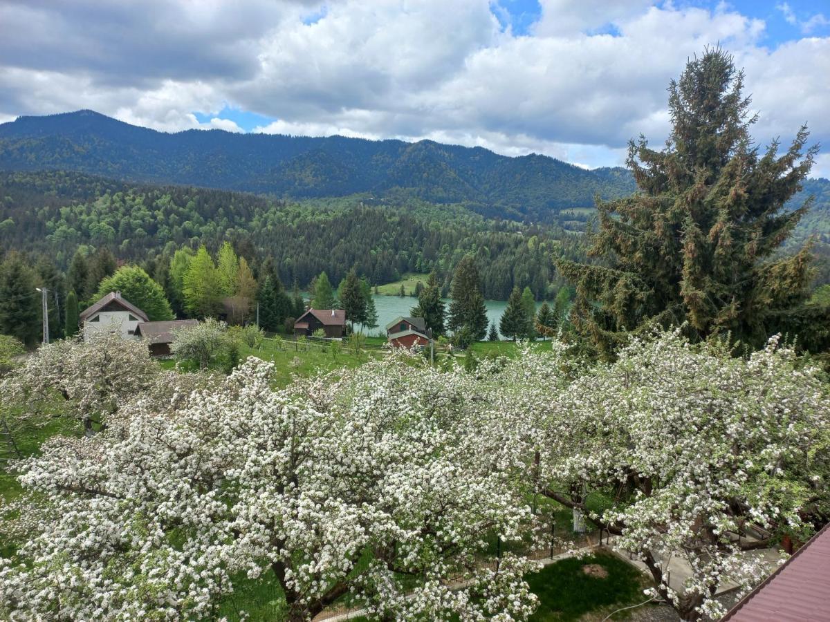 Casa De Vacanta Perla Colibitei Colibiţa Esterno foto
